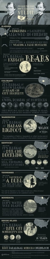 9 Bizarre Laws From the U.S. #infographic #design #graphic