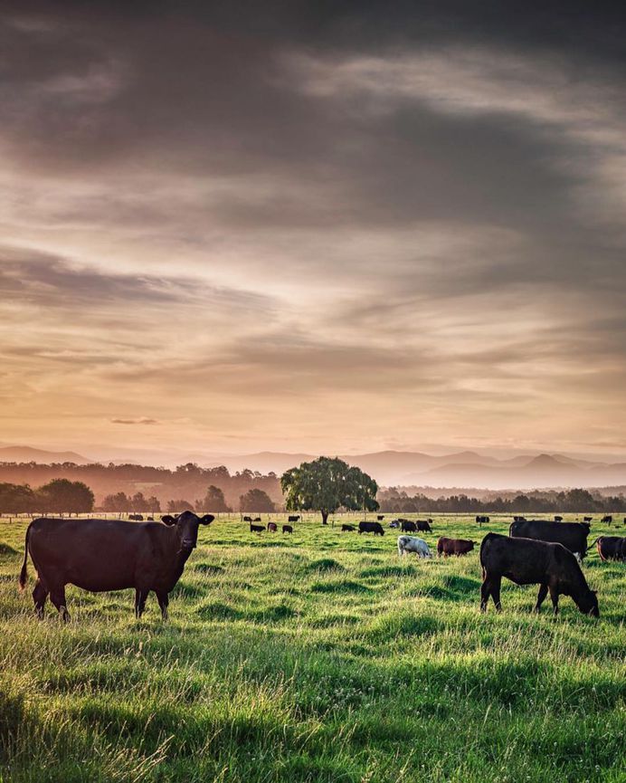 #newsouthwales: Beautiful Landscape Photography by James Blakeney