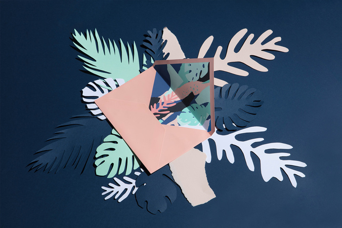 LeónLeón on Behance