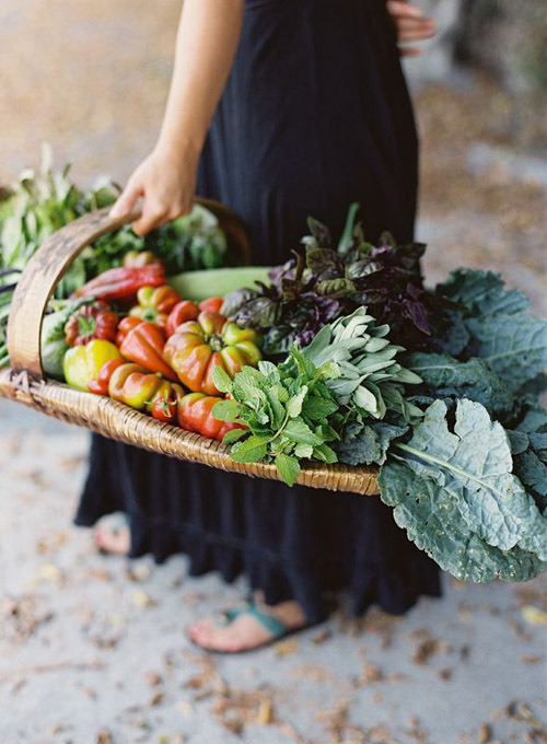 farmtotable_5 #food