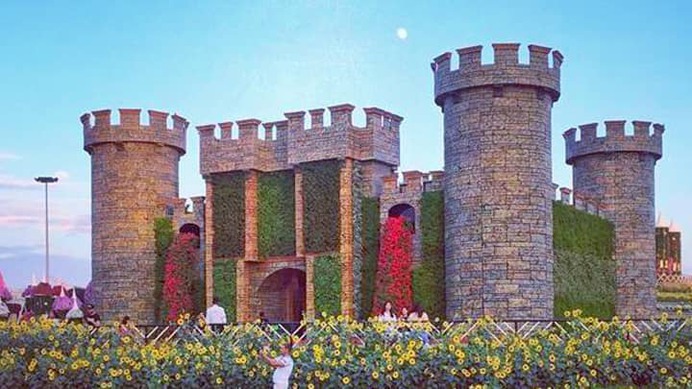 Flower fort at Dubai Miracle Garden grows petunias, geranium and alternanthera shrubs. Sunflowers can be witnessed within their surroundings.