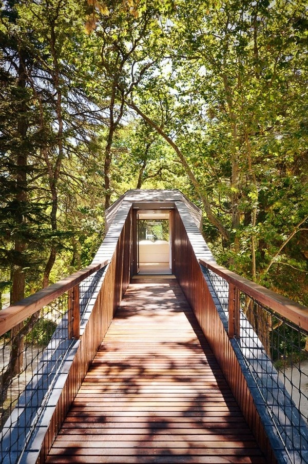Tree Snake House9 #architecture #house #tree