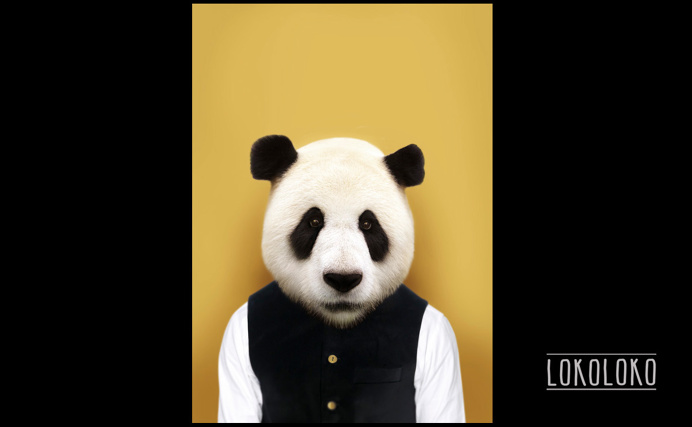 #bear #panda #minimal #poster #yellow Poster realizado para lokoloko.es