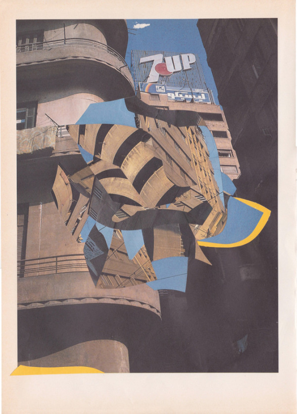 B.D. Graft | PICDIT