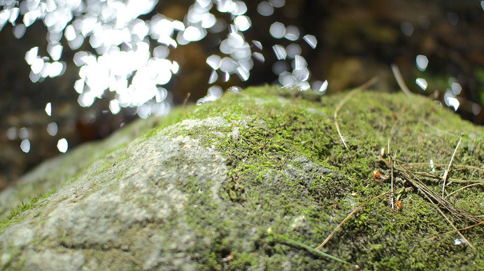 Lake George #14 #george #sigma #30mm #canon #photography #lake #60d