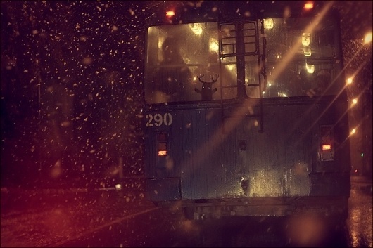 Looks like good Photography by Victor Eredel #photography #snow