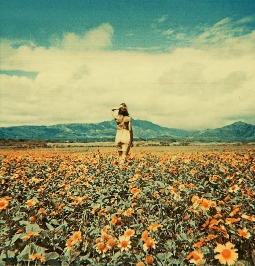 Neil Krug #field #sky #neil #krug #photography