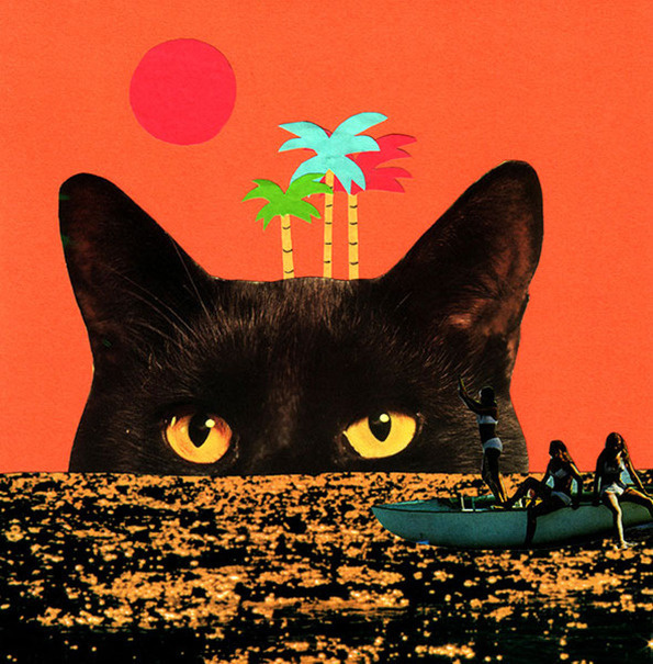 Catisland by Jessica Das #illustration #photography #collage