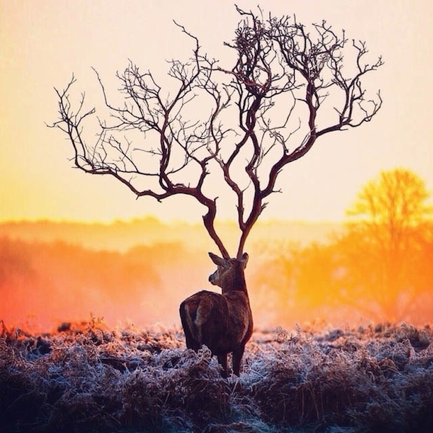 Outstanding Photo Manipulations by nois7 #inspiration #photo #manipulation