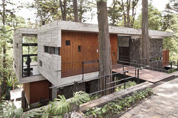 modern architecture surrounded by beautiful environment