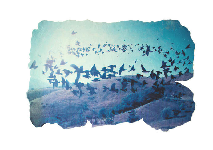 starlings #blue #starlings #magic #realism