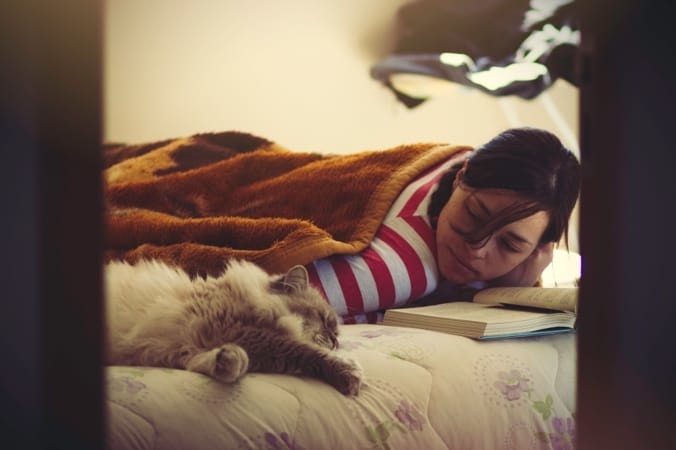 #cozy #girl #cat #book #blanket #lazy