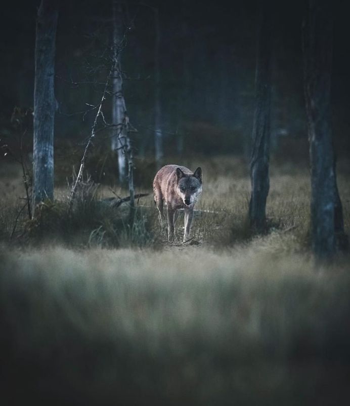 #wildernessculture: Nature and Outdoor Photography by Stian Norum Herlofsen