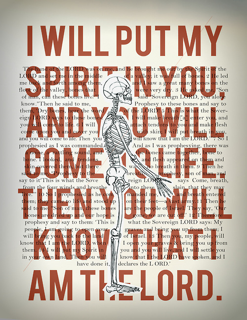 holy spirit project//003 #skeleton #red #rgb #ezekiel #graphic #anatomy #jesus #poster #bible #spirit #bones #holy
