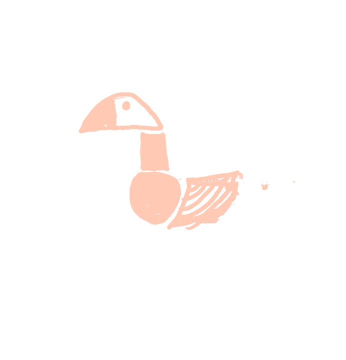 bird, toucan, tropical, animal, saumon
