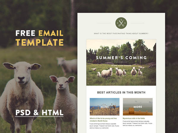 Free Responsive Email HTML Template