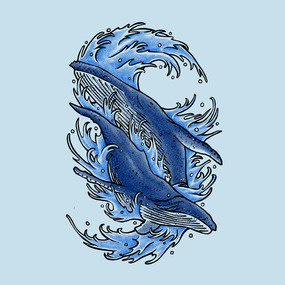 Humpback whales #humpback #design #illustration #art #whales