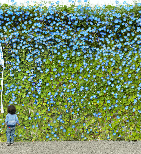 Photography by Laurie Frankel #inspration #photography #art