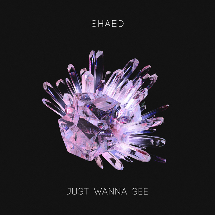 SHAED - Just Wanna See Artwork by Quentin Deronzier