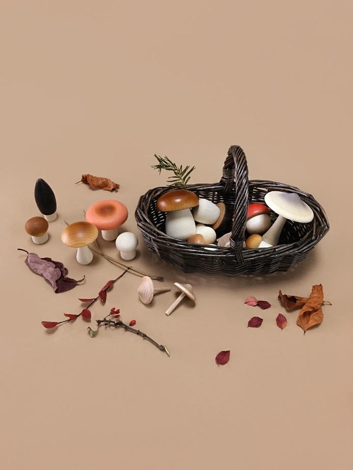 Moon-Picnic-Forest-Mushrooms-Basket-dark-web-2