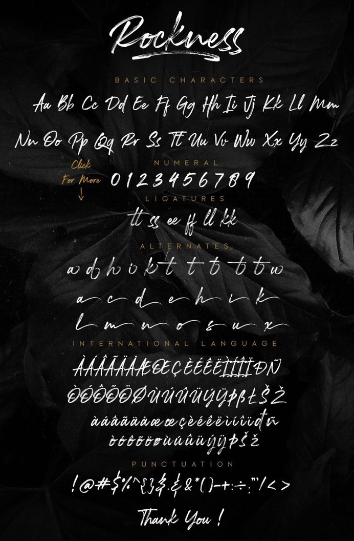 Rockness – Hand brush Typeface