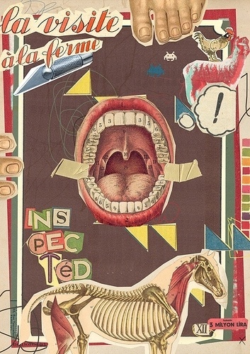 inspected | Flickr - Photo Sharing! #illustration #design #typography