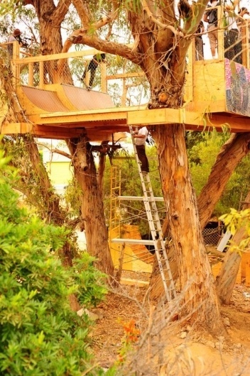 Kitty Cat's Mischief: The Volcom Skate House Tree Ramp #volcom #ramp #tree #treehouse #skate #skateboard