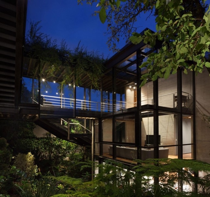 Forest House