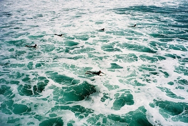 Photo of the Day #surfing #ocean #photography