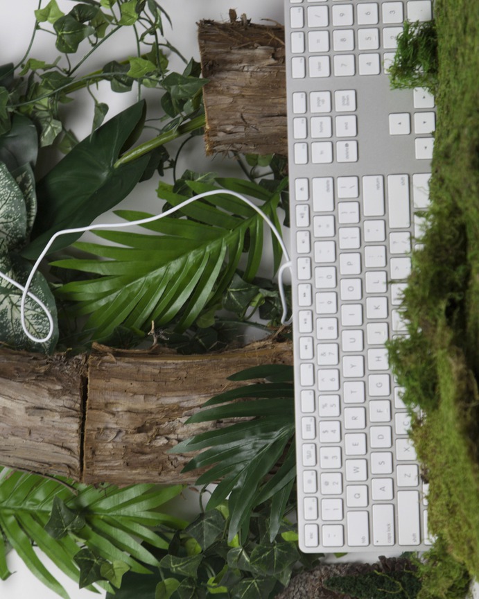 The web is a jungle—technology styled in the wasteland. Image for Brand vs Wild, a survival guide for business by Jonathan David Lewis, VP of McKee Wallwork + Co. | Photographed by Brittany Byrne