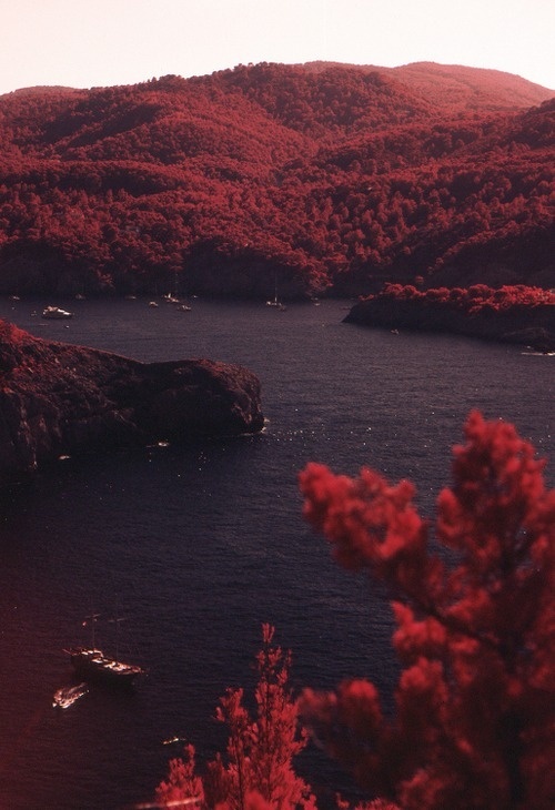 red~