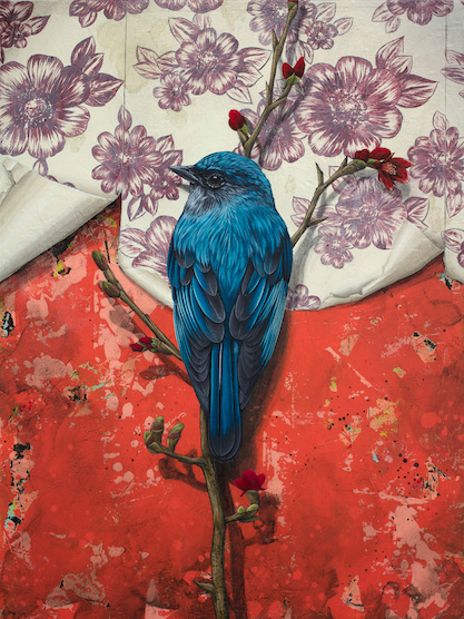bird wallpaper #painting