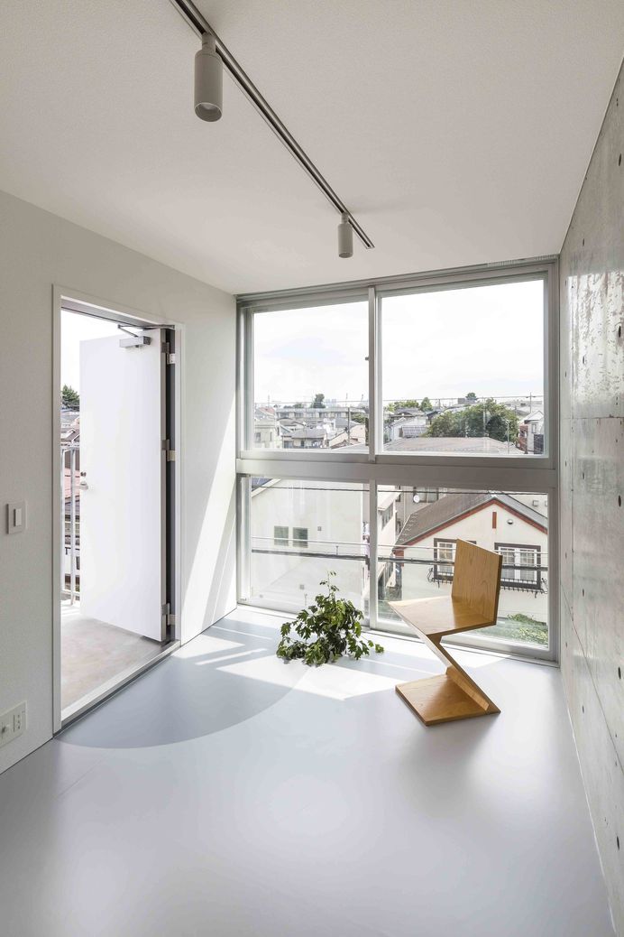 Mimosa Pudica by Horibe Associates