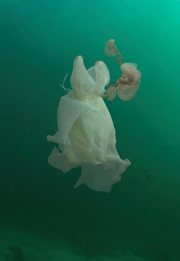helen pynor: liquid ground #water #under
