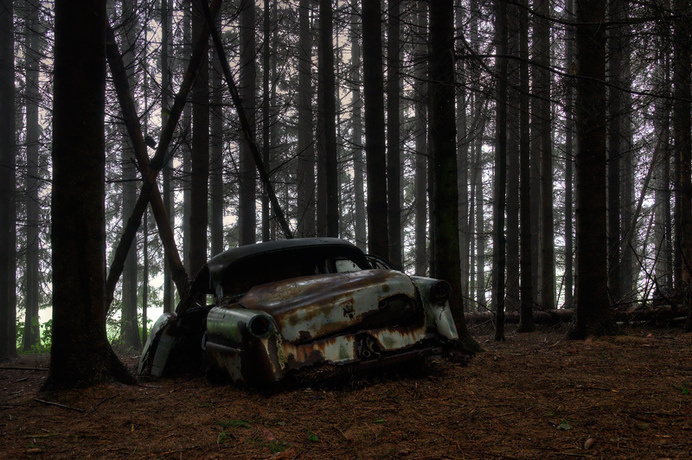 Chatillon (16) | Flickr - Photo Sharing! #forest #car #decay #rust