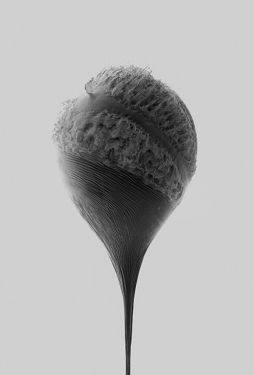 An Abrupt End: Explosive High-Speed Photos by James Huse | Colossal #white #black #speed #balloon #photography #and #high