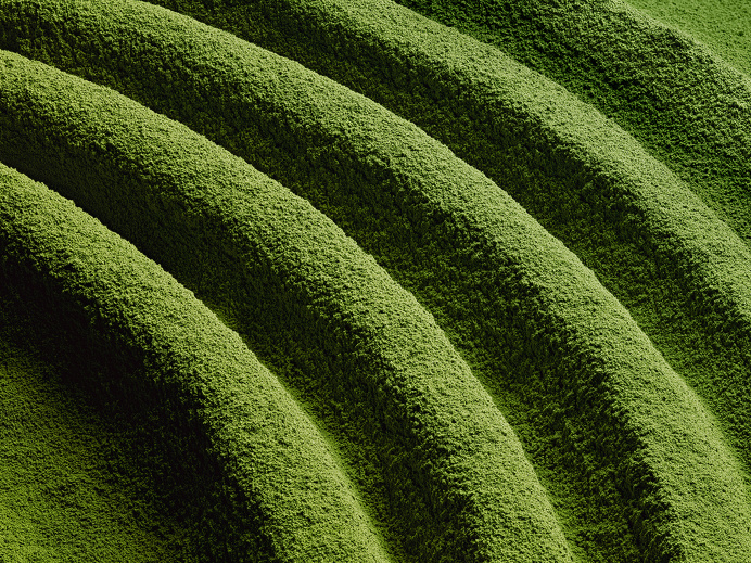 Art direction from matcha.lab #japanese #green #artdirection #styling