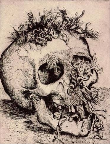 otto.jpg 372×486 pixels #skull #otto #dix