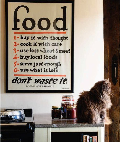 // Food / Don't Waste It // // oxcroft / marinrose9 // #food #poster #ad