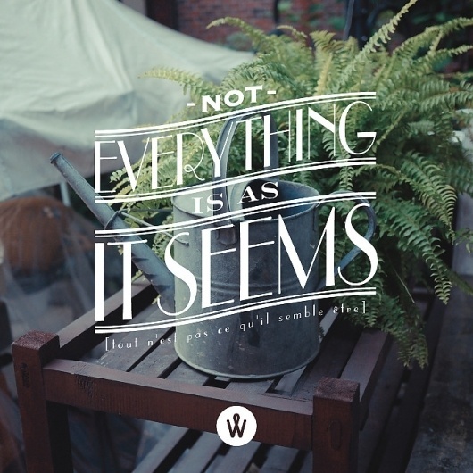 PHOTO QUOTE / January - PHOTO QUOTE #photoquote #quote #photo #design #graphic #alanderwong #typography