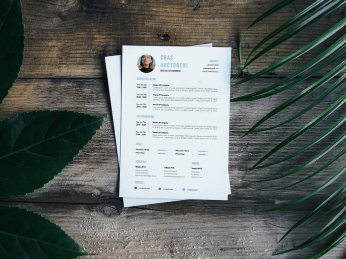 Free Simple Entrepreneur Resume Template