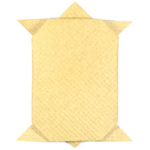 How to make an easy traditional origami turtle (http://www.origami-make.org/howto-origami-turtle.php)