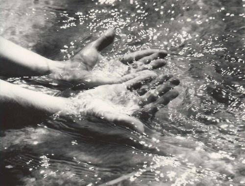 crashinglybeautiful: By Walter Chappell. Thank you,Â fernsandmoss #water