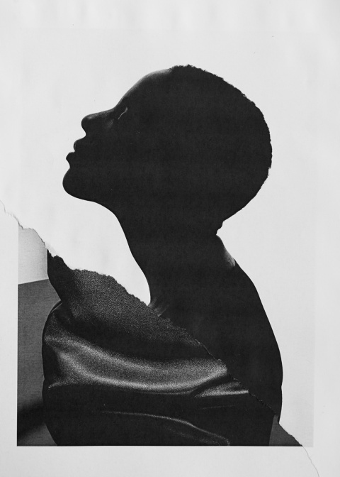 Ramon Haindl | PICDIT #collage #art