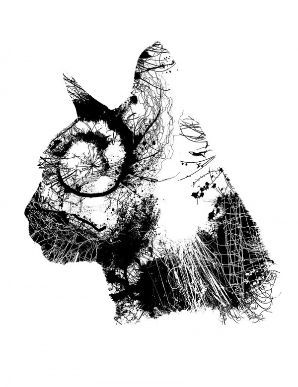 Chris Keegan Illustration and prints #chris #london #print #cat #keegan #londo #illustration #nature #art #graphics #animal #club