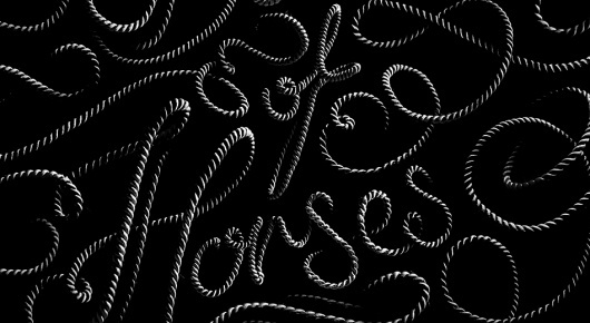 Sean Freeman // Band of Horses #rope #typography