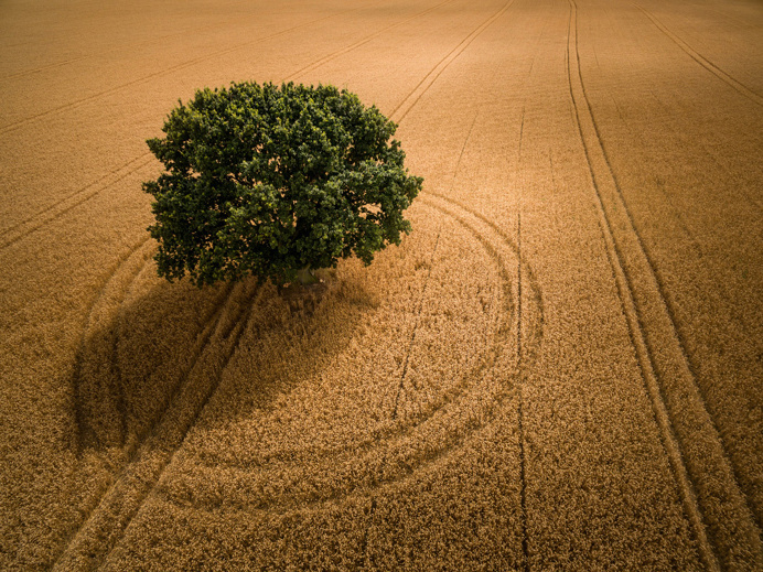 David Hopley - Encompassed, Colton, Tadcaster, North Yorkshire, England