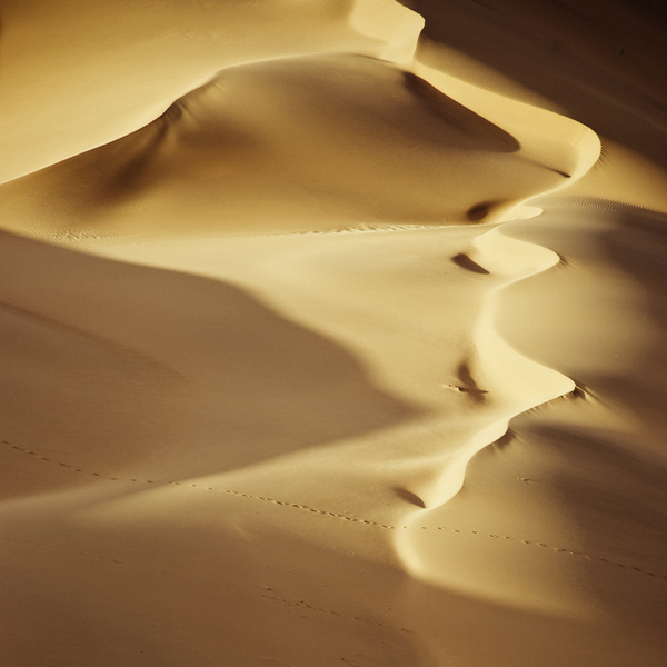 Dunescape #calm