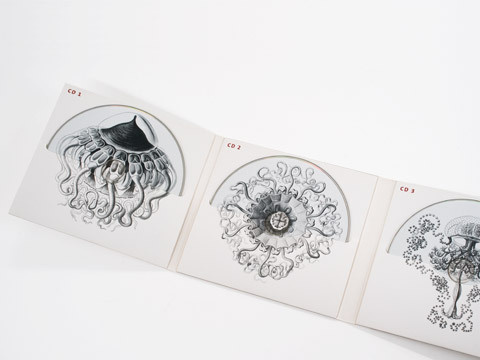 DAV_foto_14 #white #doppelpunkt #design #graphic #audobook #sleeve #black #cover #illustration #and #cd