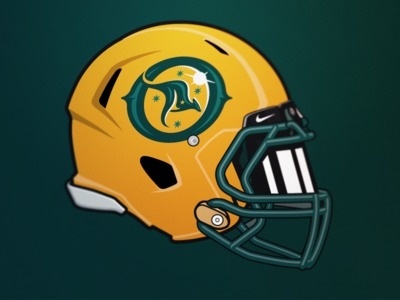 Outback Helmet